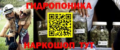 мдпв Гай