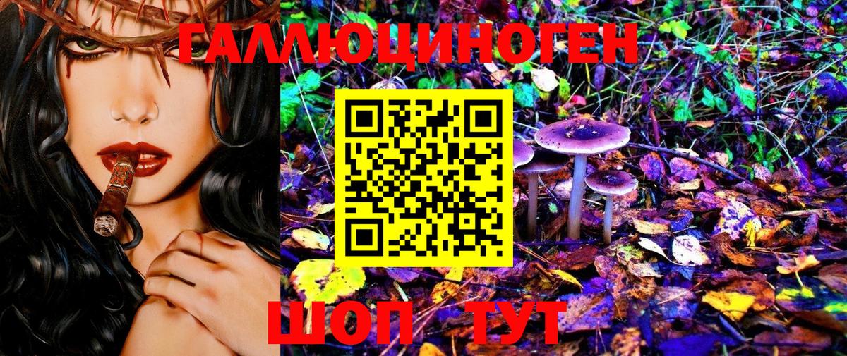Псилоцибиновые грибы Psilocybine cubensis Зеленодольск