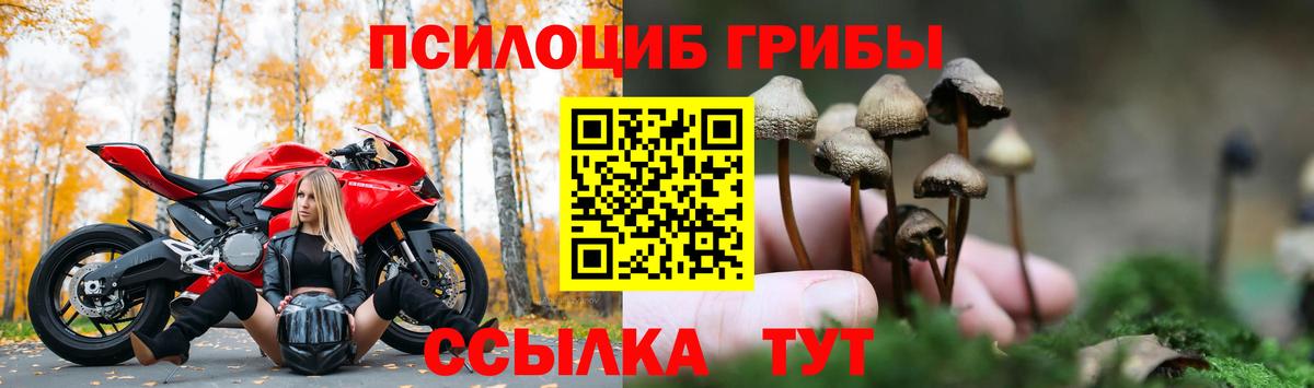 Псилоцибиновые грибы мухоморы  купить наркотик  Зеленодольск  Вход с VPN  Псилоцибиновые грибы прущие грибы 